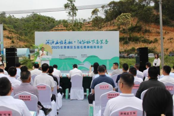 已编辑图片