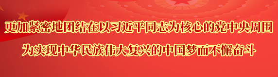 更加紧密地团结在以习近平同志为核心的党中央周围，为实现中华民族伟大复兴的中国梦而不懈奋斗