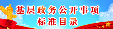 基层政务公开事项标准目录