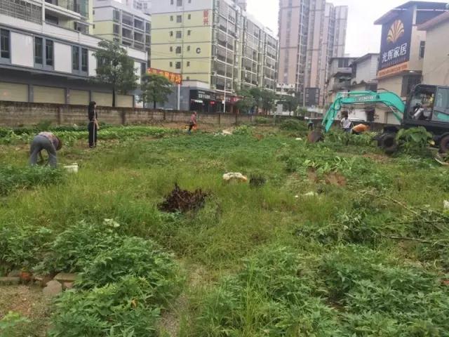 人口会使环境绿化面积变小_保护环境手抄报